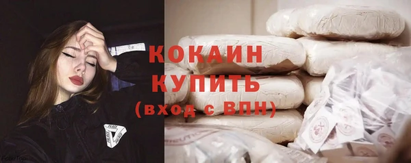 стаф Козельск
