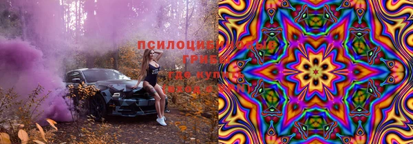 соль ск Козловка