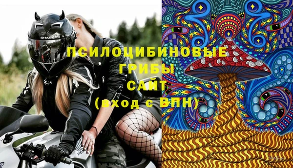 spice Кодинск
