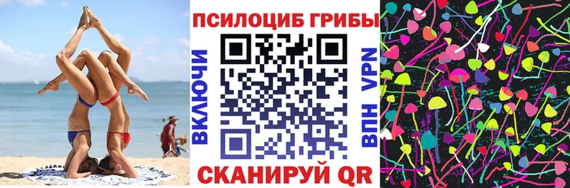Галлюциногенные грибы Psilocybine cubensis Углегорск