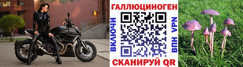 Псилоцибиновые грибы мицелий  Углегорск 